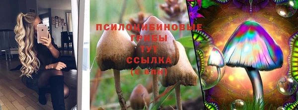 таблы Иноземцево