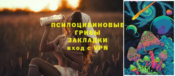 а пвп мука Няндома